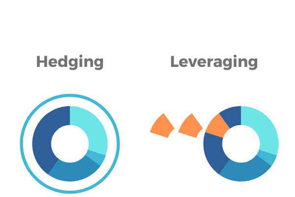 Portfolio graphics